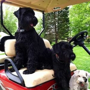 Meet your Posher, Linda